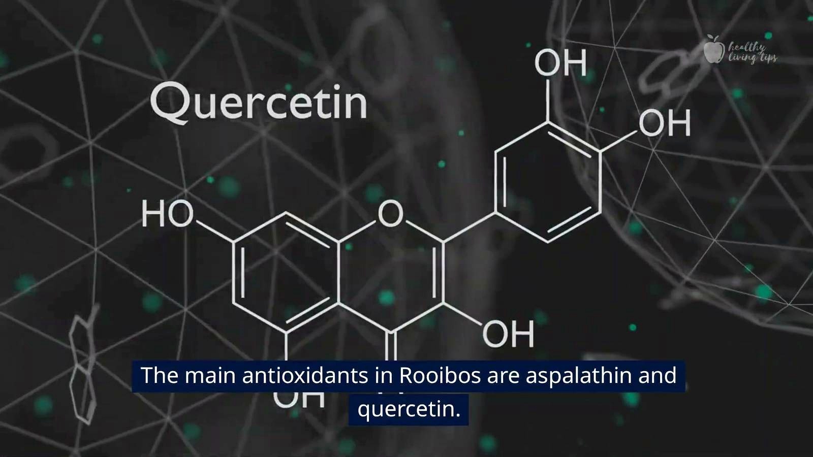 1. Rich in Antioxidants discussed in the video