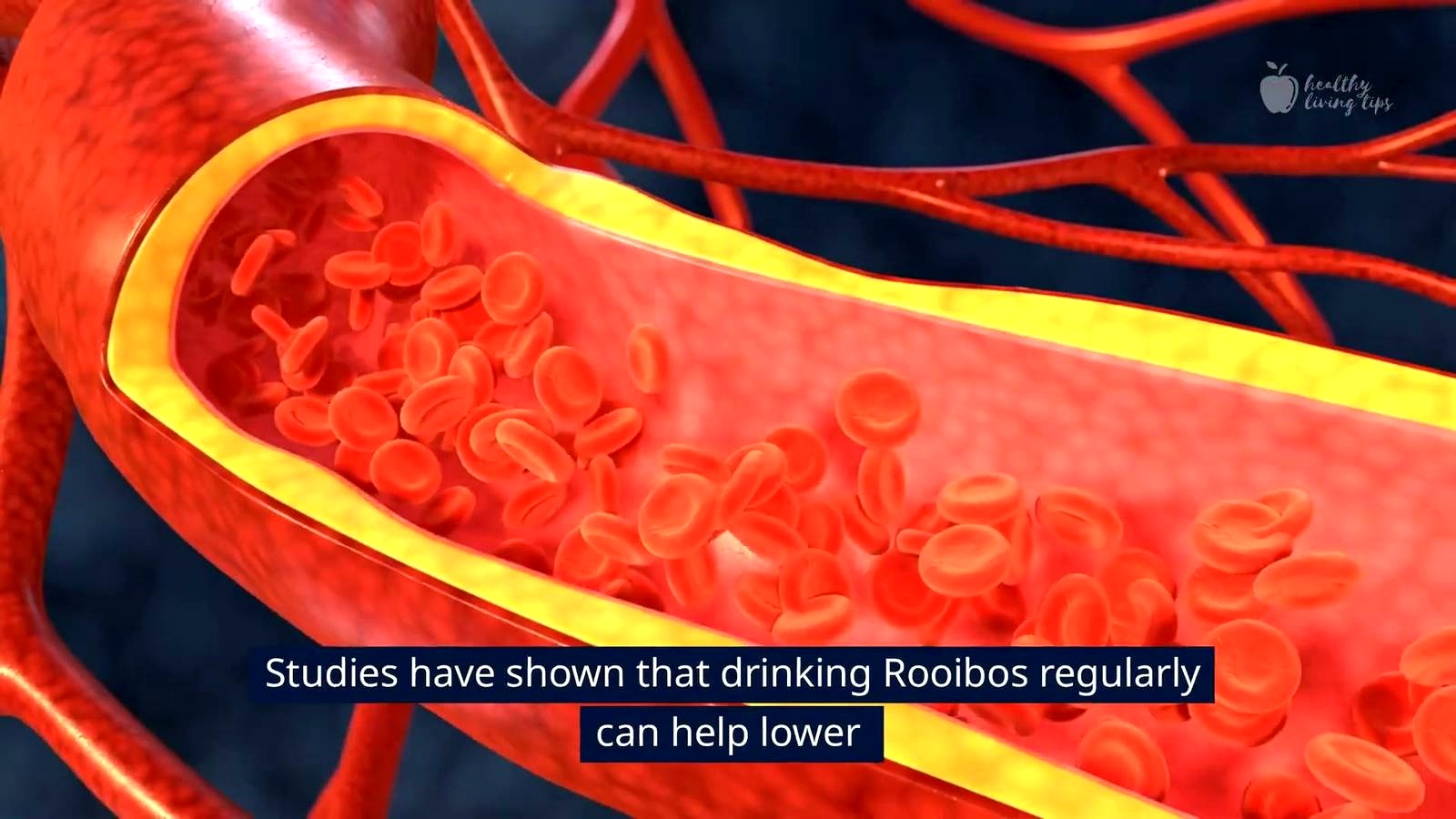 2. Supports Heart Health discussed in the video