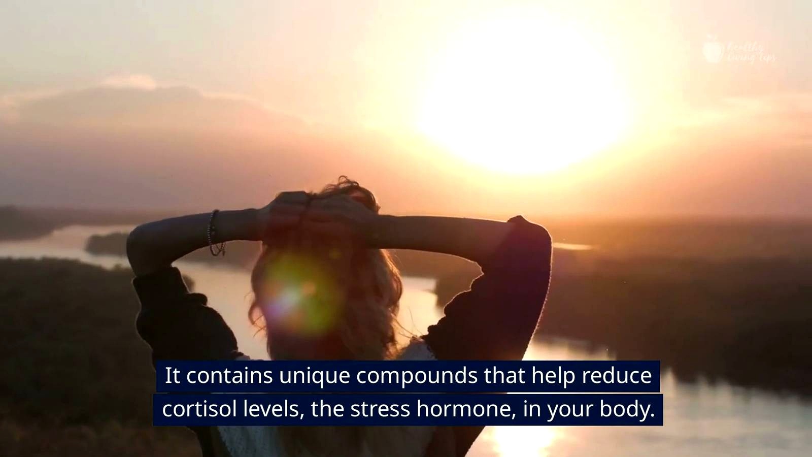 7. Reduces Stress and Promotes Relaxation discussed in the video