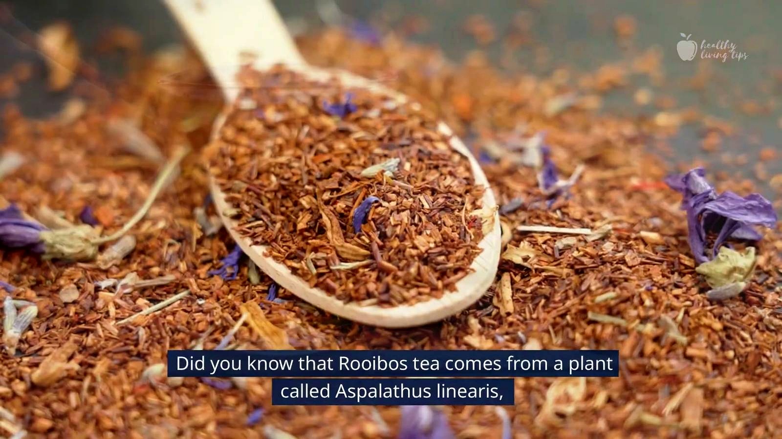 The Wonderful World of Rooibos Tea